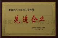 秦都區(qū)2010年度工業(yè)發(fā)展先進(jìn)企業(yè)